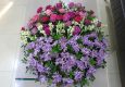 WhatsApp Image 2026-04-15 at 16.42.00 (1)
